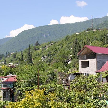 Guest House Zvanba Gagra Esterno foto