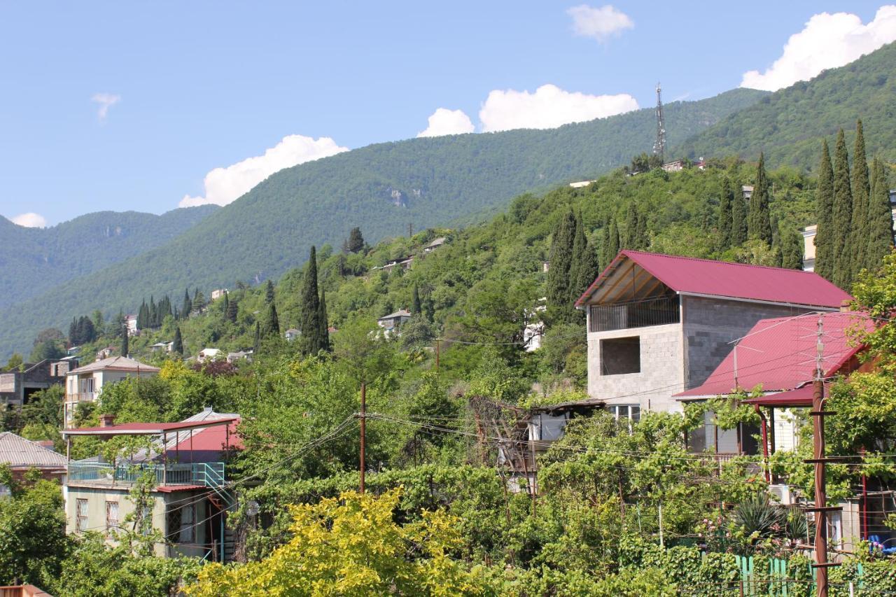 Guest House Zvanba Gagra Esterno foto